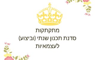 תכנון שנתי טל שפיר